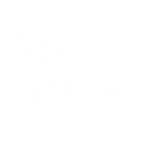 JAPAN BILUSI AUTO PARTS